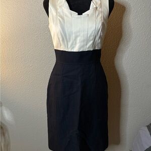 Chic Cream and Navy Sleeveless Dress